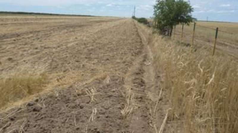 Crece el malestar del campo con el Gobierno y sectores amenazan con un cese de comercialización y piquetes