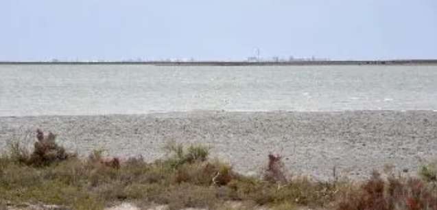Caso Facundo: efectos del mar, clima y fauna, donde hallaron restos humanos