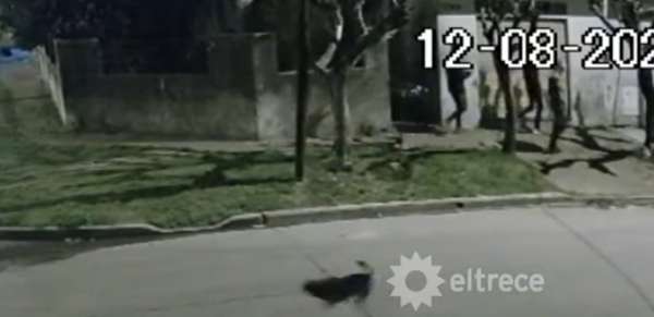 Estaba embarazada, le pegaron para robarle y perdió el bebé