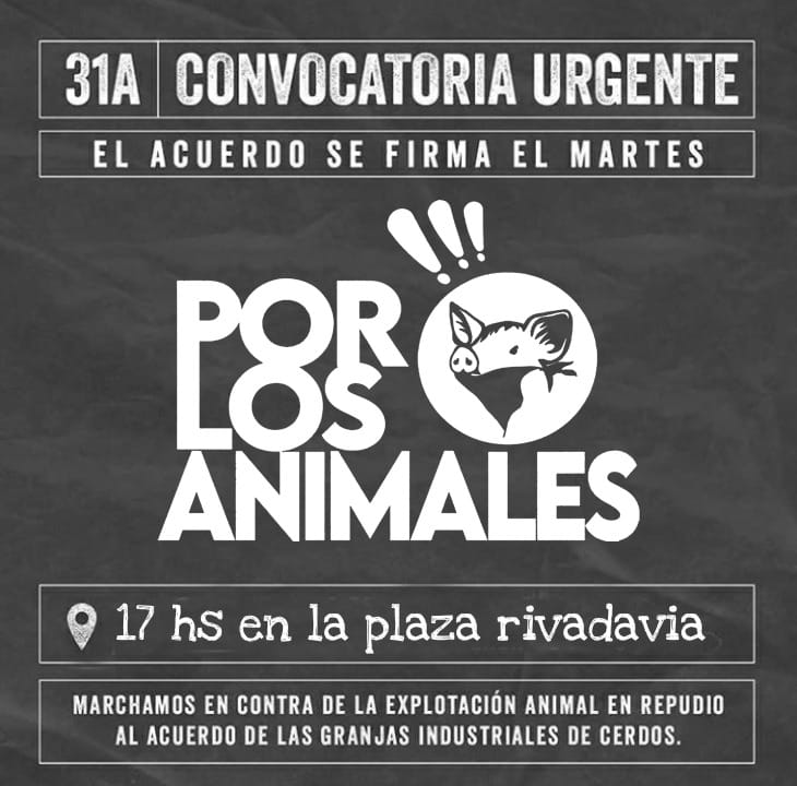Marcha en repudio del inminente acuerdo con China para la instalación de granjas industriales porcinas