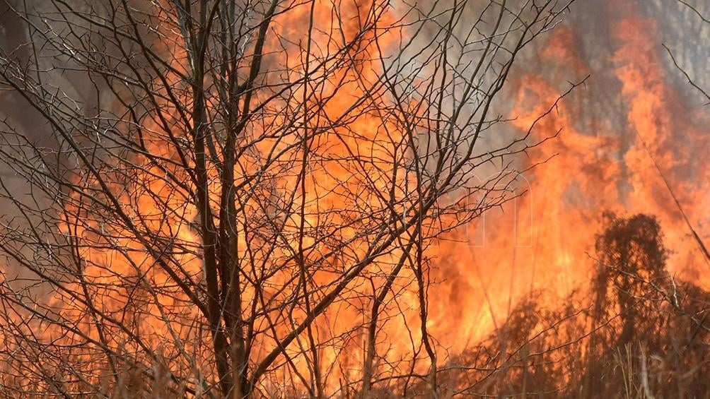 Transfieren la Dirección del Servicio de Manejo del Fuego