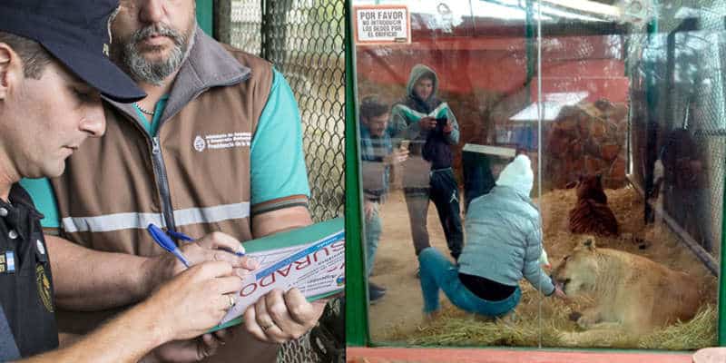 Clausura y escándalo en el Zoo de Luján: piedras, corridas y cruces con proteccionistas