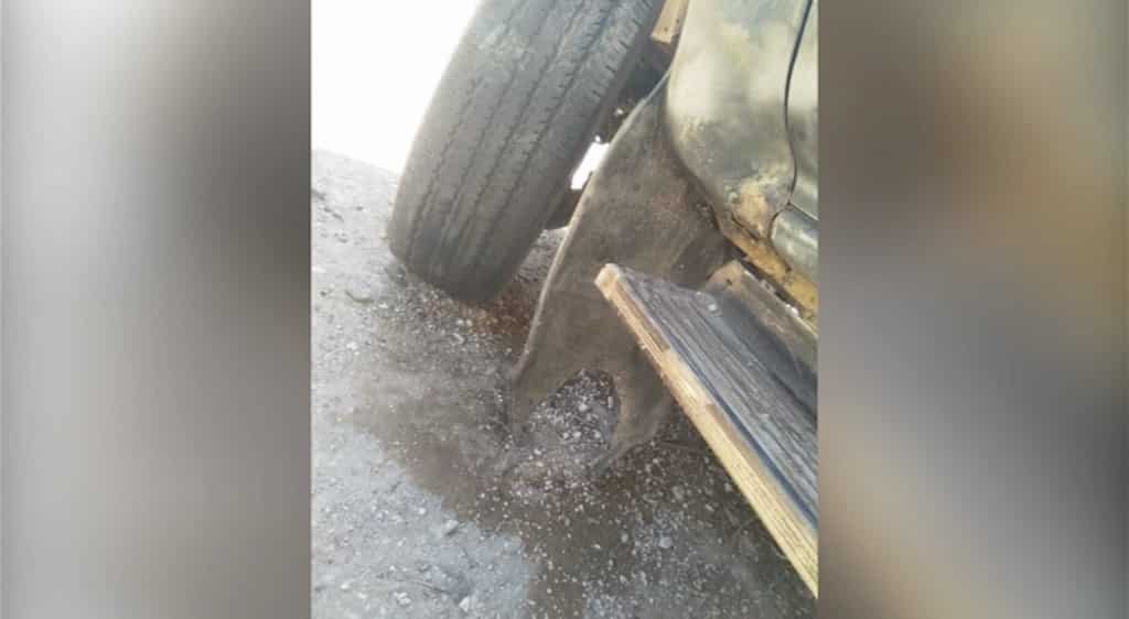 Monte Hermoso: denuncia que le quemaron la camioneta por apoyar a los propietarios no residentes