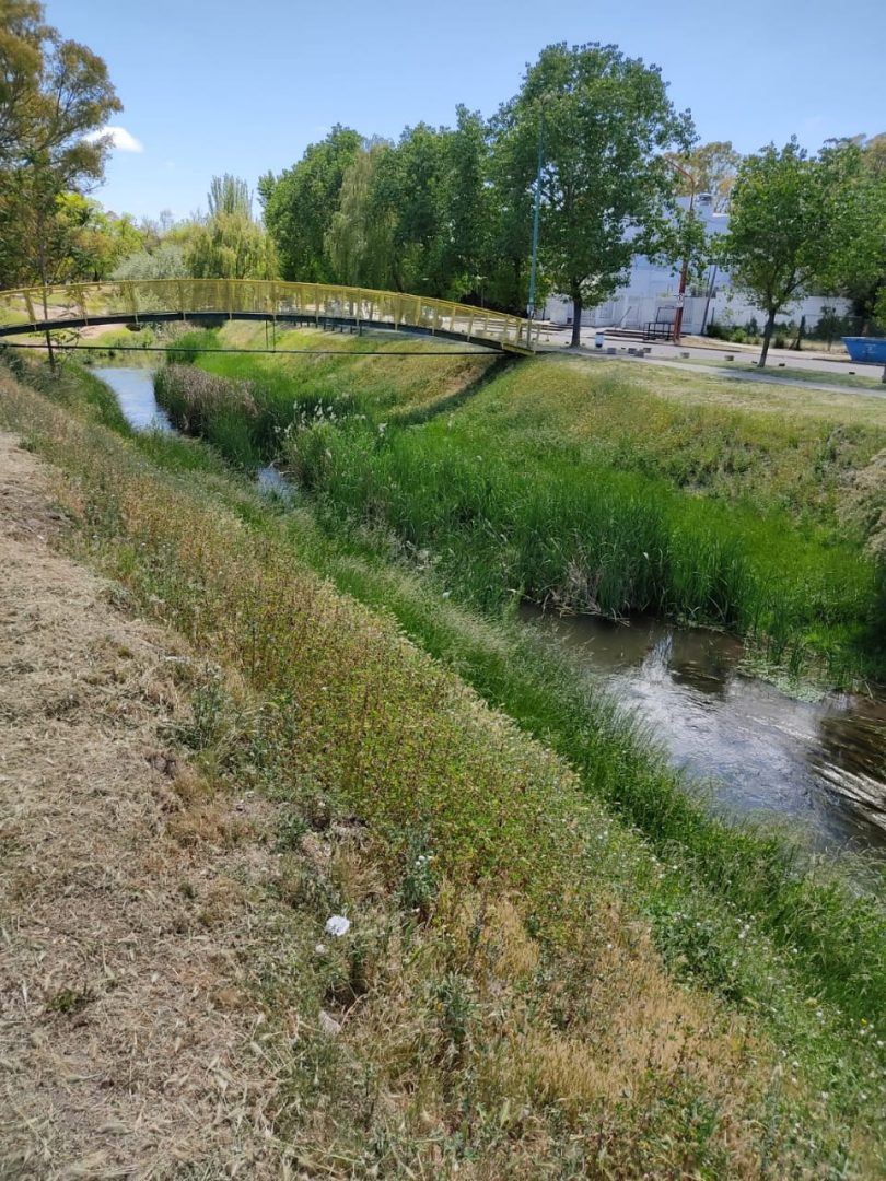 Polémica por la limpieza del Arroyo Napostá