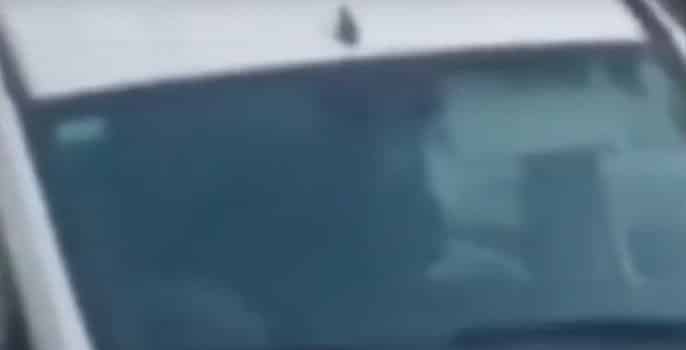 Los descubrieron teniendo sexo en una camioneta del Ministerio de Trabajo de la Provincia