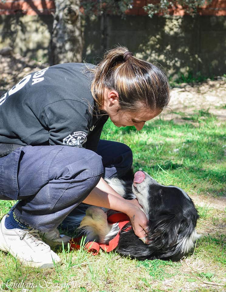 “Perrera Cero” : Saavedra reeduca perros del refugio para dar en adopción