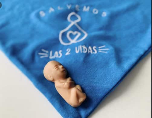 No al aborto: pedido de un grupo bahiense