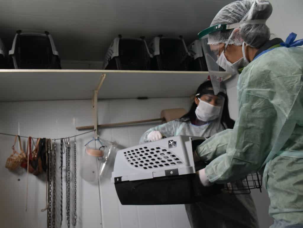 Ubicación de las unidades de esterilización