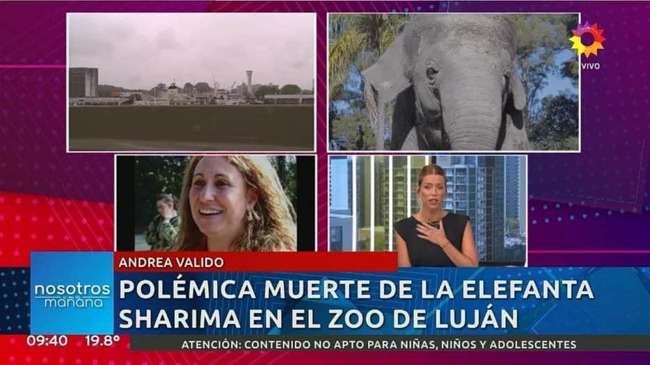 Nicole Neumann se sorprendió al escuchar a la cuidadora de la elefanta Shamira muerta en el zoo de Luján: “Lograron lo querían”