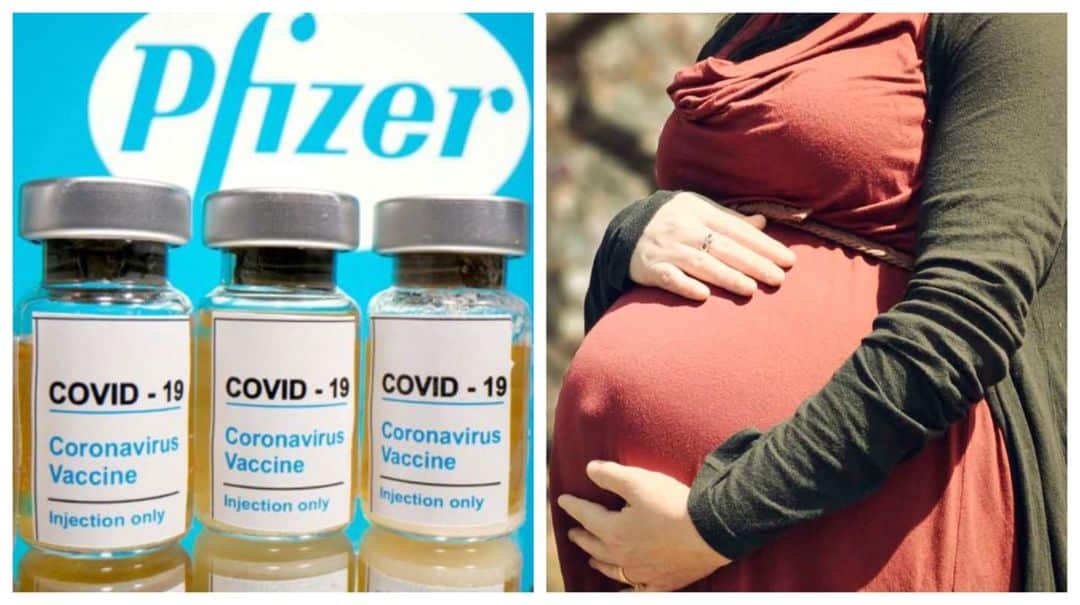 Pfizer probará en la Argentina su vacuna contra el coronavirus en embarazadas