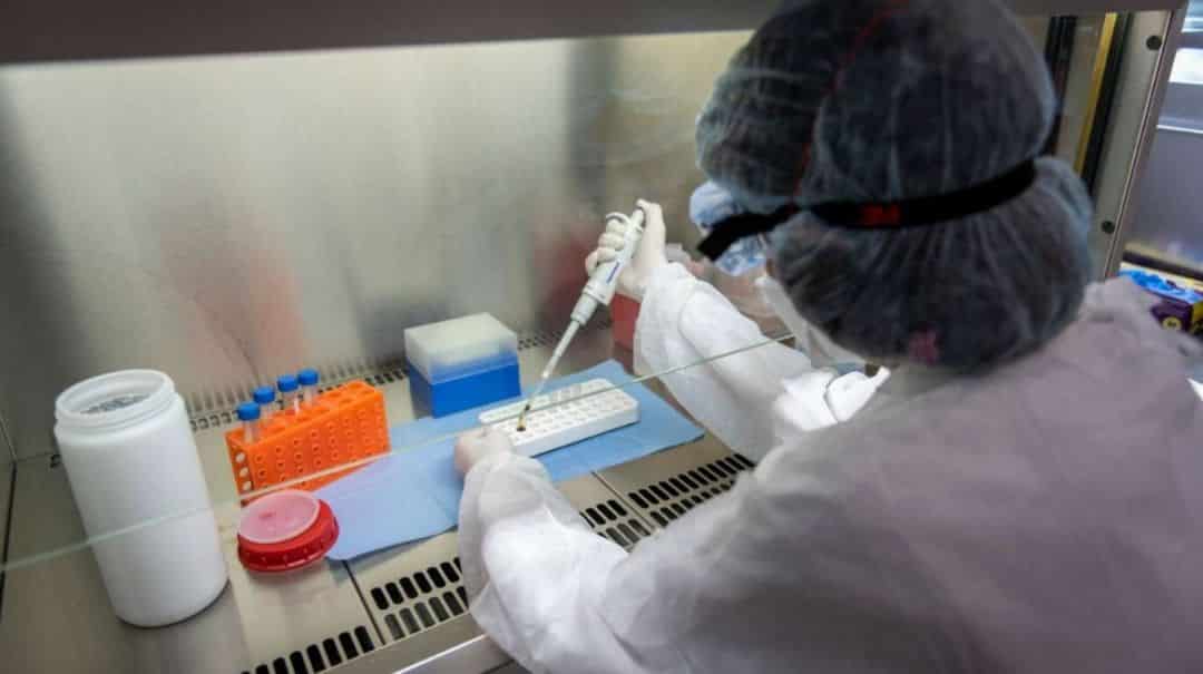 Detectaron en Córdoba las cepas de coronavirus originadas en Manaos y Reino Unido