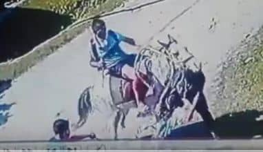 “Jinetechorros”: cuatro ladrones a caballo le robaron la bicicleta a un joven