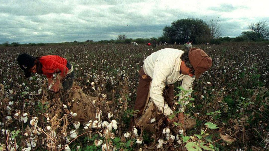 Vacunas: piden prioridad para los trabajadores rurales mayores de 60 años