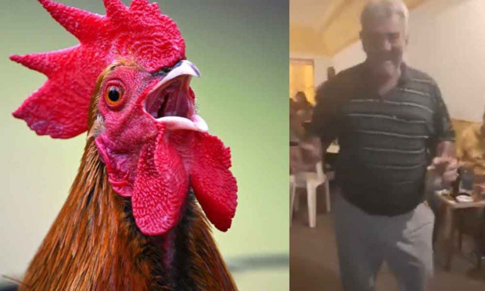 Falleció el “gallo de Vicente”