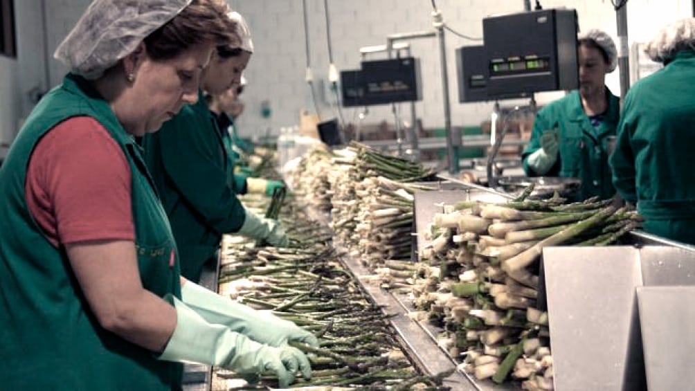 El próximo martes vence la inscripción al Repro para empresas y personas