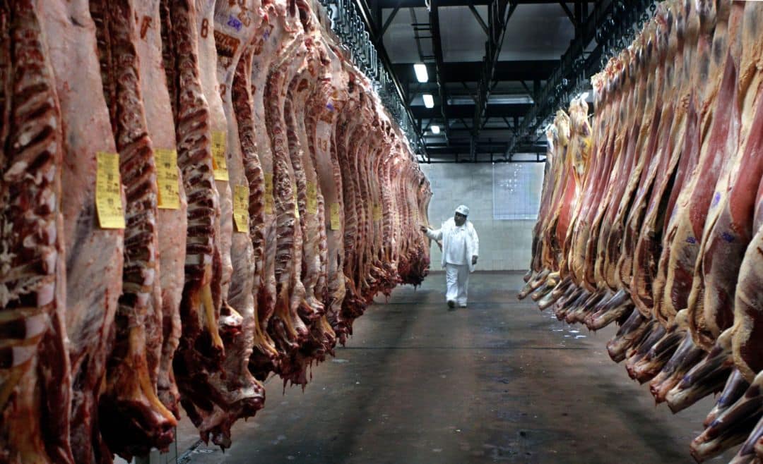 Cierre de exportación de carne: productores analizan la no comercialización