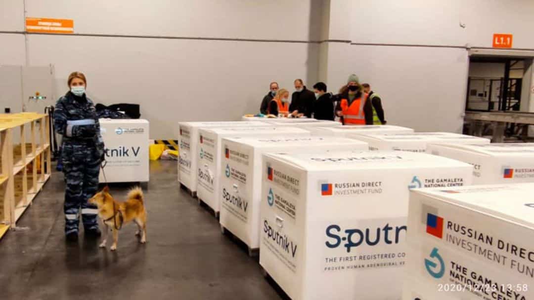 Provincia por provincia, cómo es el proceso de distribución de las vacunas Sputnik V que llegaron al país