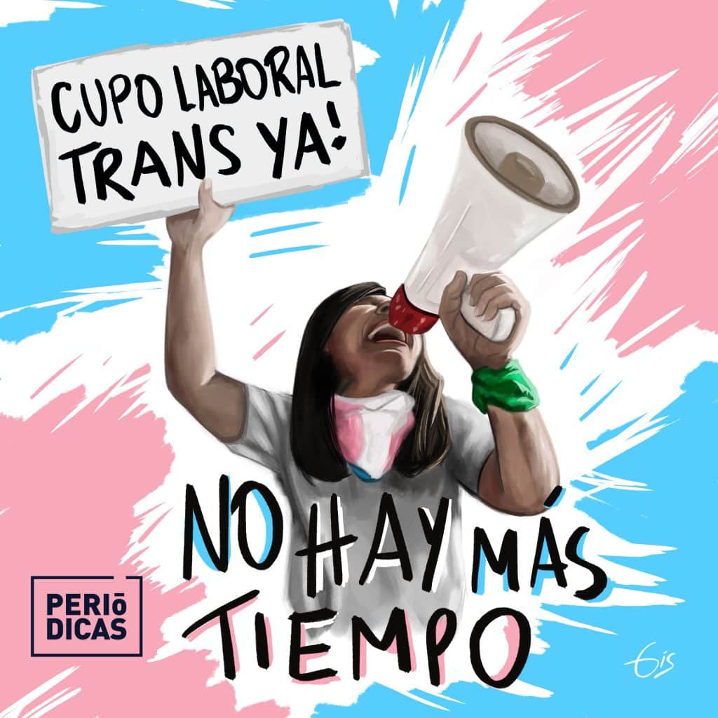 El Senado convirtió en ley el cupo laboral travesti trans