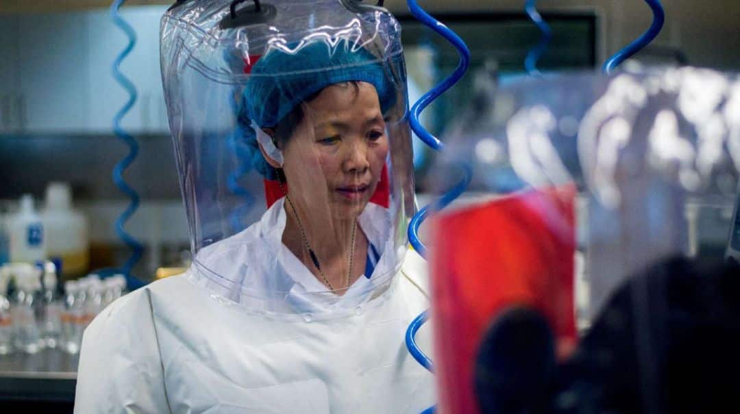 “No tengo nada que temer”: habló la científica que podría ser clave para saber si el coronavirus escapó de un laboratorio en China