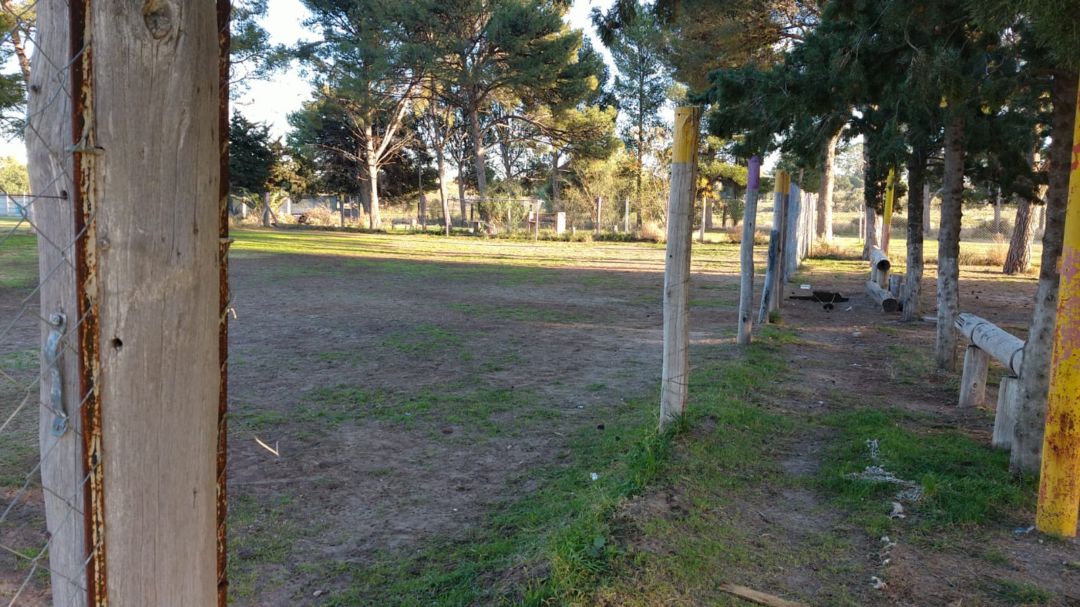 Robo de alambrado del club Tiro Federal