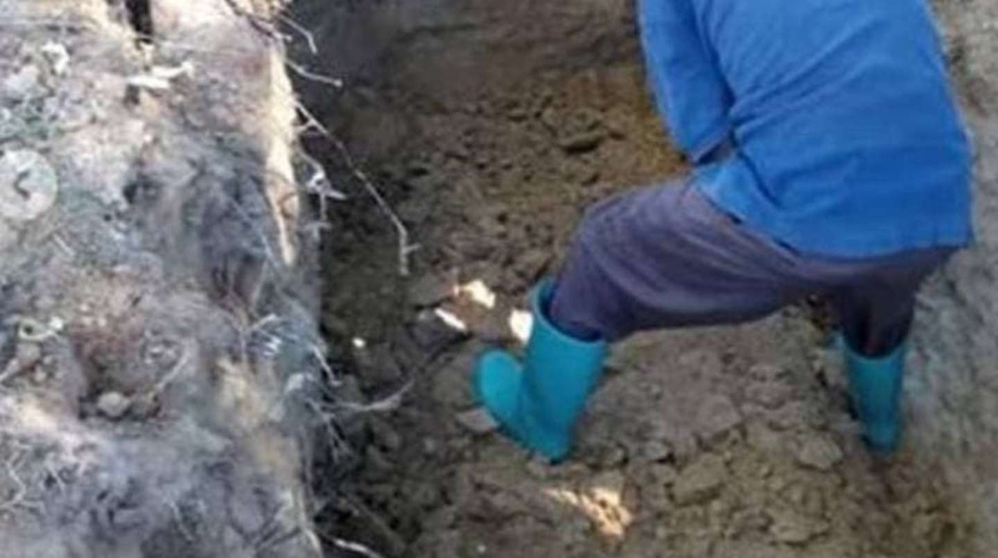 Un pastor quiso probar que podía resucitar como Jesús, se enterró vivo y murió