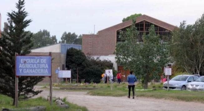 Ingreso 2022 a la escuela de Agricultura y Ganadería