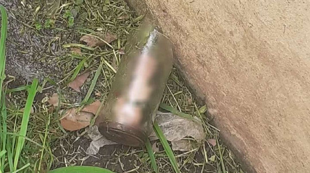 Hallazgo macabro: un jardinero encontró un pene adentro de un frasco cuando cortaba el pasto en una casa