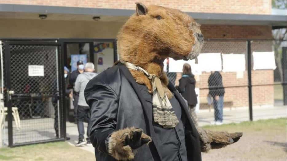 Un hombre fue a votar disfrazado de carpincho en un colegio de Tigre