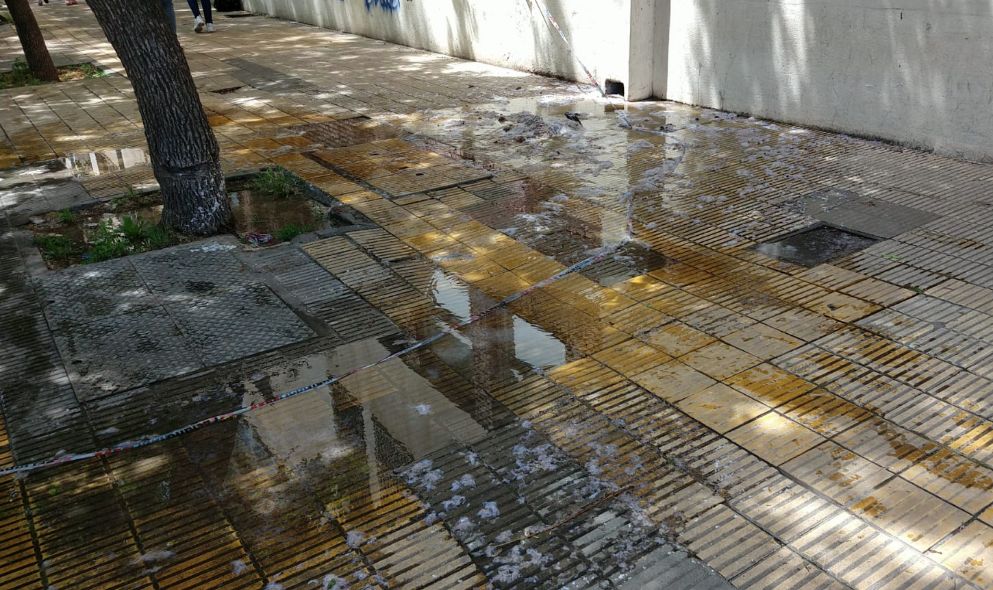 Un verdadero asco frente a las Escuelas Medias de la UNS