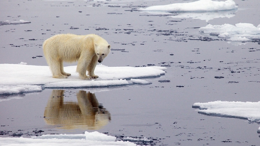 El récord de calor en el Ártico “enciende las alarmas” sobre el cambio climático
