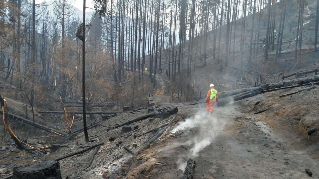 Incendios en Río Negro, Entre Ríos, Neuquén, Misiones y Chubut: bomberos trabajan para apagar nuevos focos activos