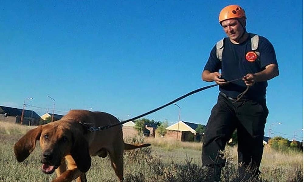 Detuvieron al adiestrador de perros Marcos Herrero por manipular evidencia