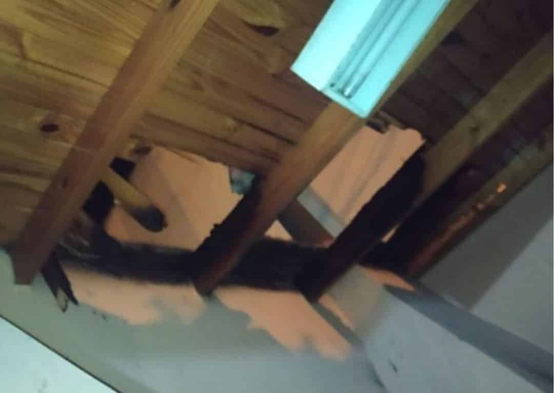 Una vivienda se vio afectada por un principio de incendio