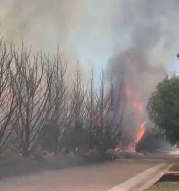 Se incendia una zona de “la reserva”