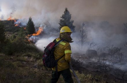 Incendio Forestal Patagonia