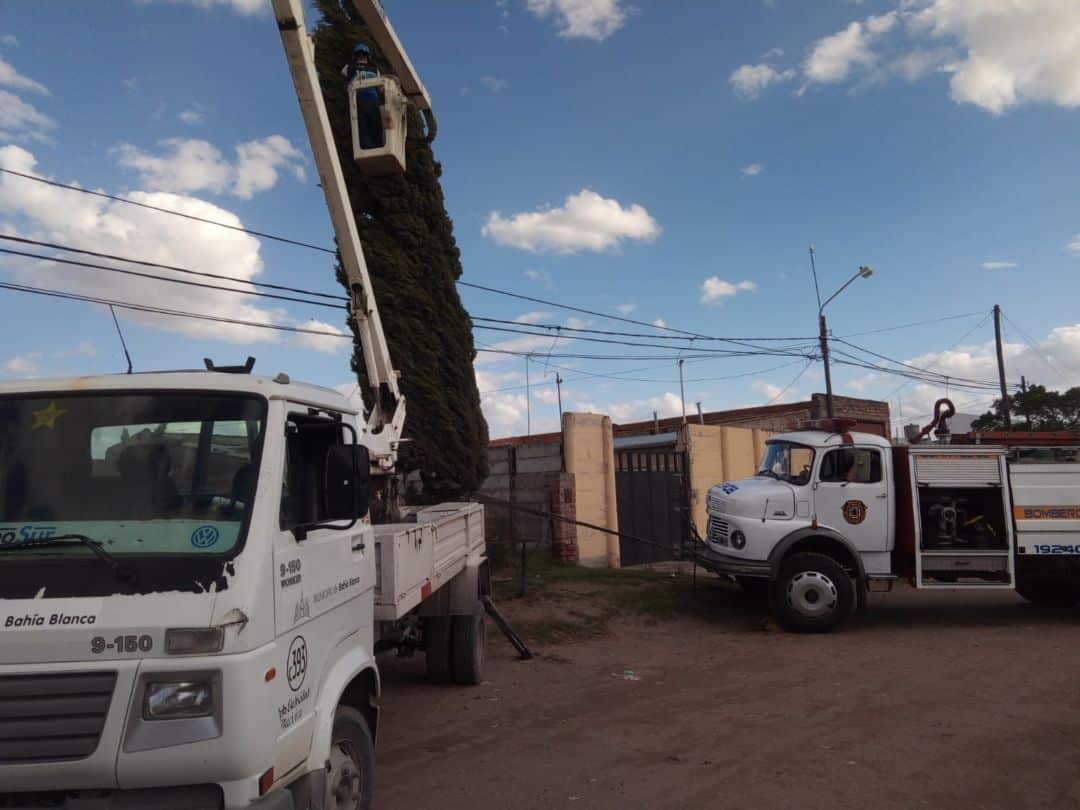 Fuerte viento en Bahía: varios llamados por caída de postes, árboles, cables y voladura de techos