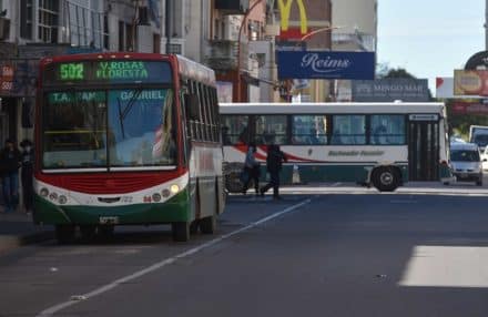 colectivos