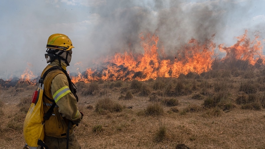Brigadistas de distintas provincias luchan contra el fuego en Corrientes