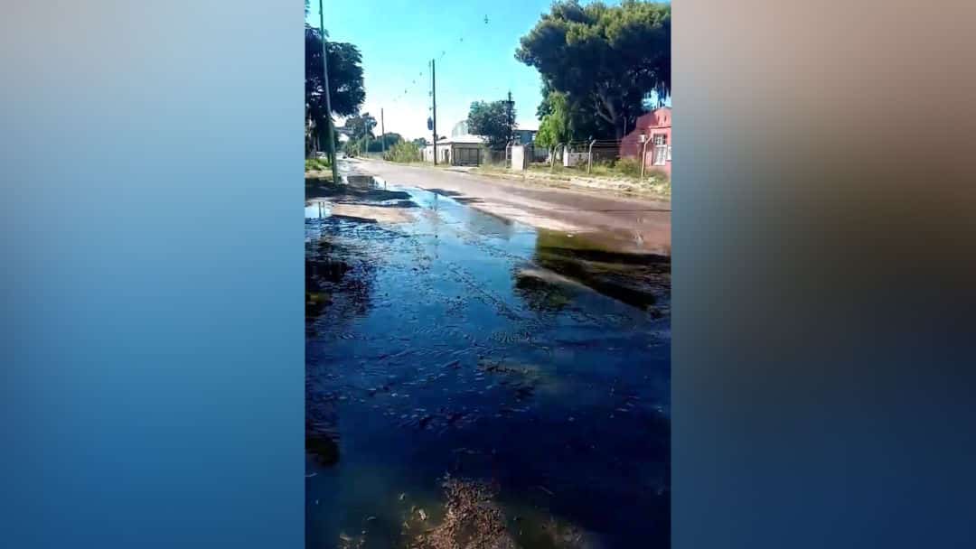 Vecinos de Grünbein cansados del olor que desperdicia una empresa a la calle