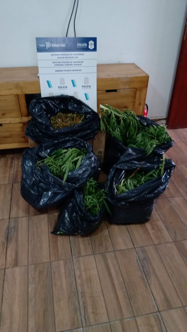 Quedó detenido por trasladar 8 kg de marihuana