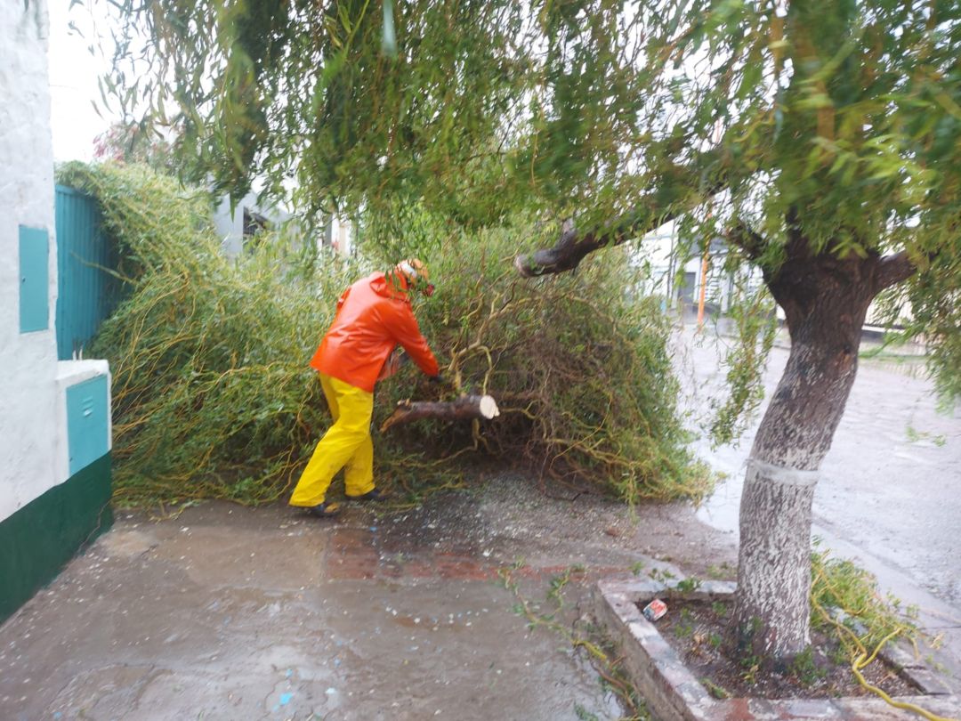 Tormenta en Bahía: Edes aseguró que ya solucionó el 80 % de los cortes de electricidad