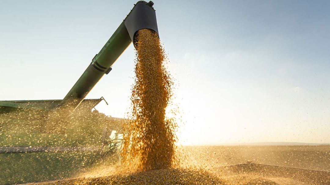 Productores agropecuarios del norte pidieron la “inconstitucionalidad” de las retenciones