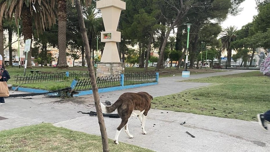 Plaza de Villa Mitre: se desmayó, chocó su auto contra un monumento y mató a un perro