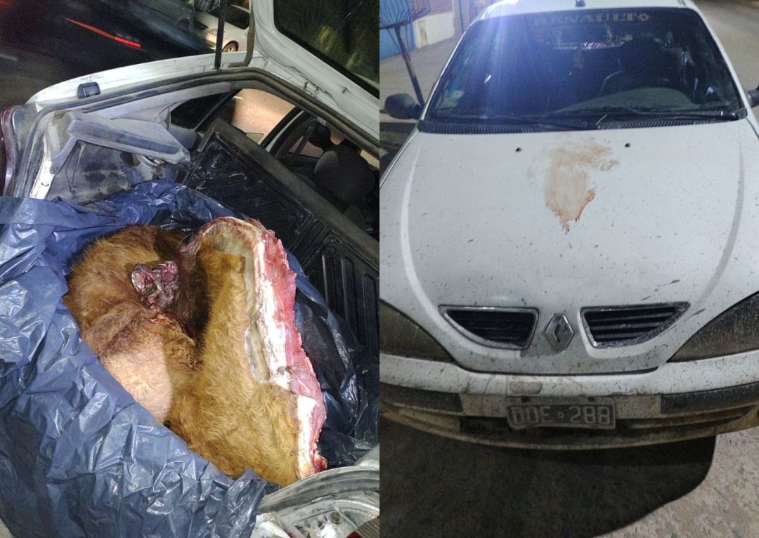 Detenidos por abigeato: iban con armas y un ternero faenado en el auto