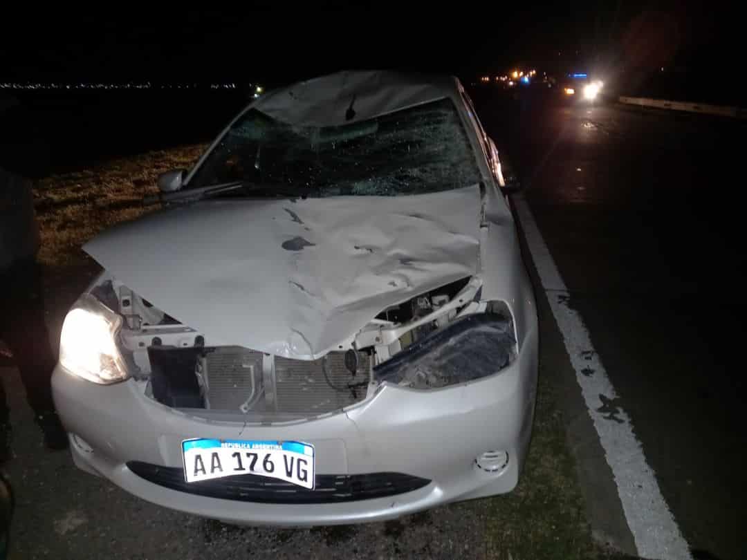 Chocó contra un caballo en la autovía Bahía Blanca – Punta Alta