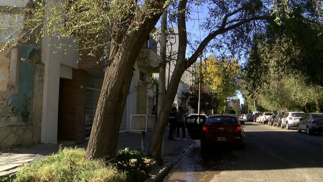 Vecinos del barrio La Falda preocupados por un árbol a punto de caer: está sostenido por un cable