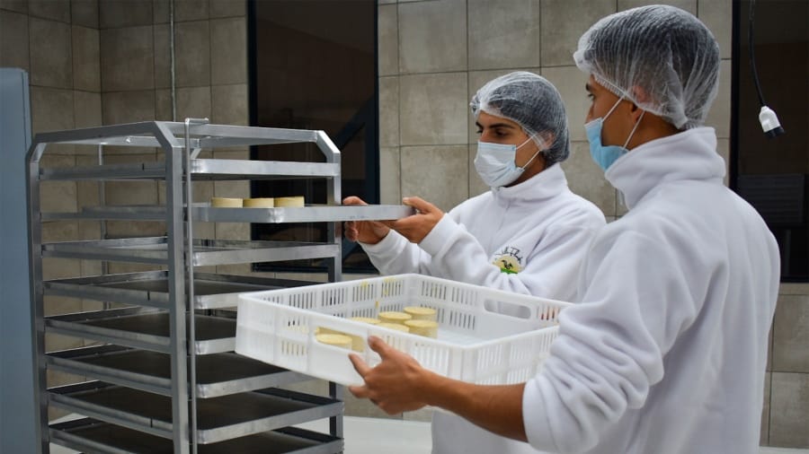 Inauguran la primera fábrica regional que produce quesos 100% a base de plantas