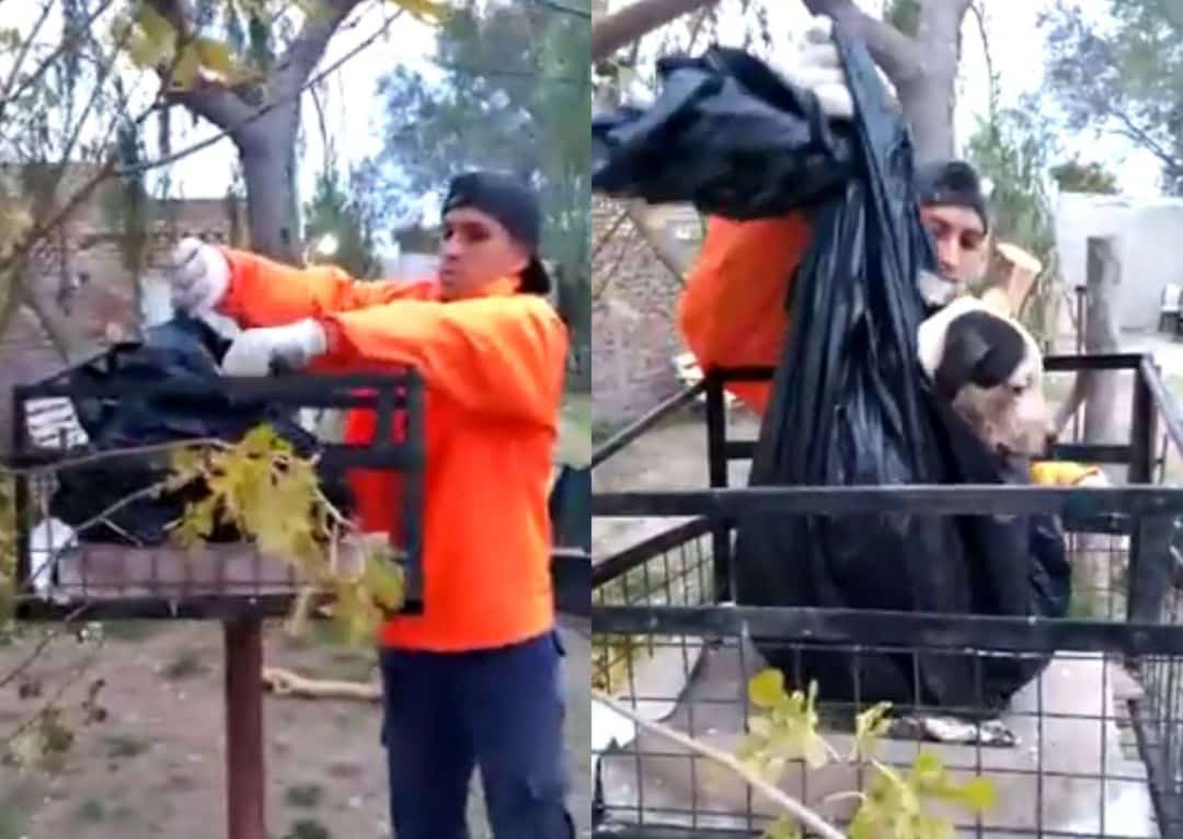 Video: un recolector de residuos encontró a un perro vivo en una bolsa de basura en el barrio Los Horneros