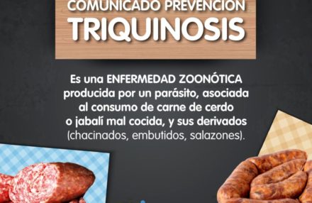 Recomendaciones para prevenir la triquinosis