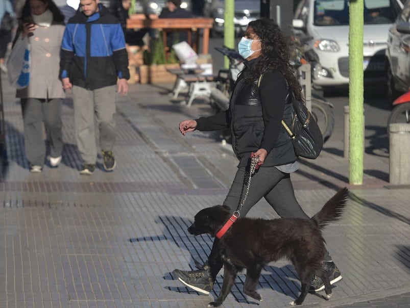 Solicitan extremar el cuidado de animales en Villa Belgrano: advertencia sobre posibles cebos tóxicos en la vía pública